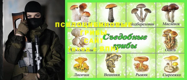 шишки Алексеевка