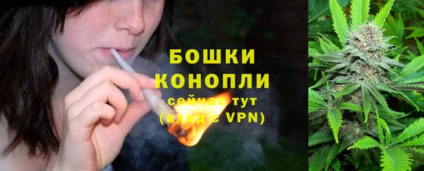 шишки Алексеевка